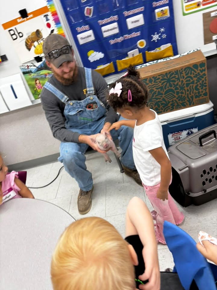 A Lower School student meeting a small pig during a classroom visit